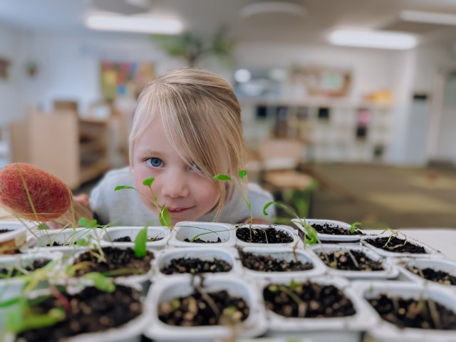 Check out our Centre Gallery