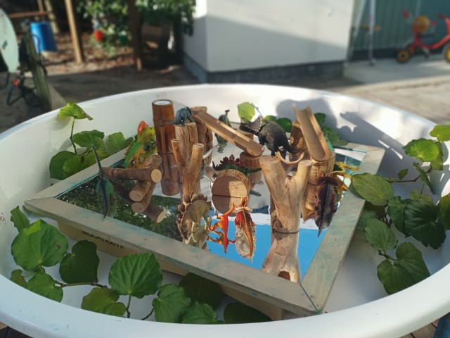 Check out our Centre Gallery