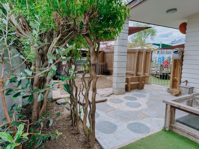 Our Gallery