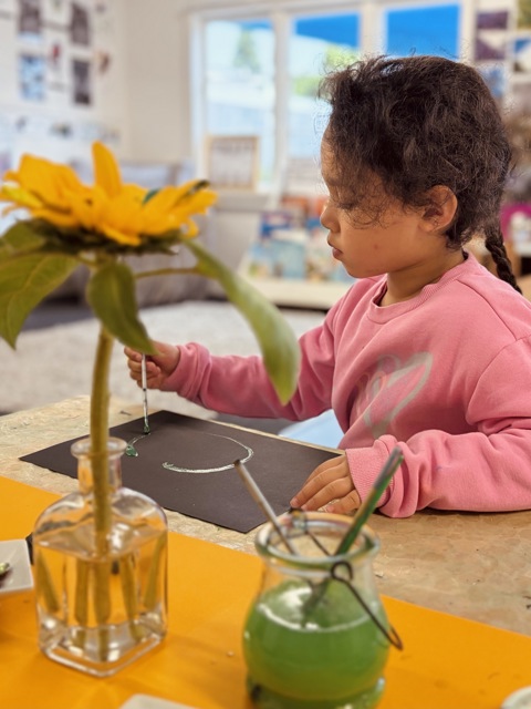 Check out our Centre Gallery