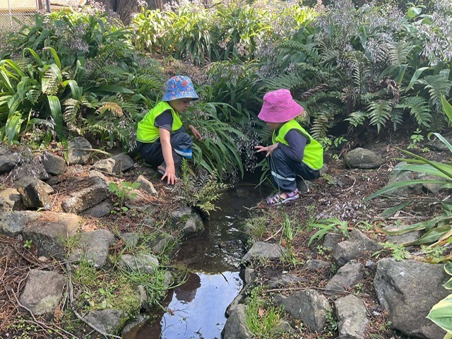 Check out our Centre Gallery