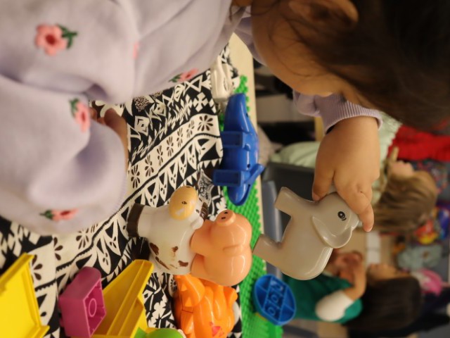 Check out our Centre Gallery