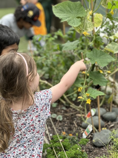 Check out our Centre Gallery