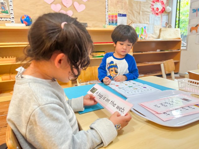 Little Earth Montessori Remuera