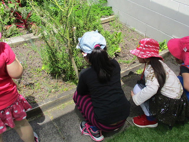 Little Earth Montessori Panmure