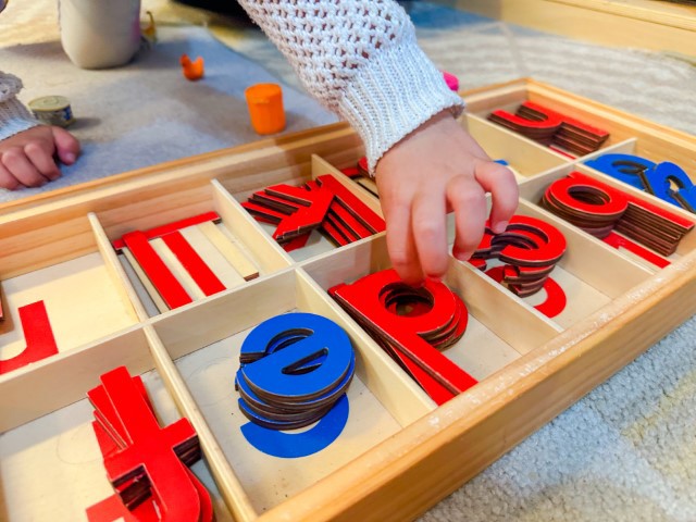 Little Earth Montessori Remuera
