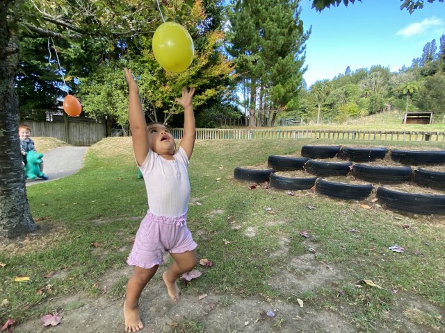 Check out our Centre Gallery