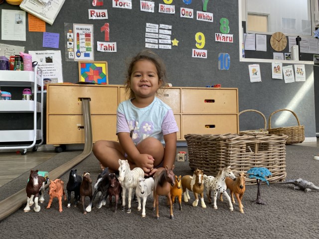 Check out our Centre Gallery