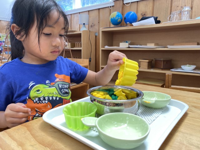 Little Earth Montessori Panmure