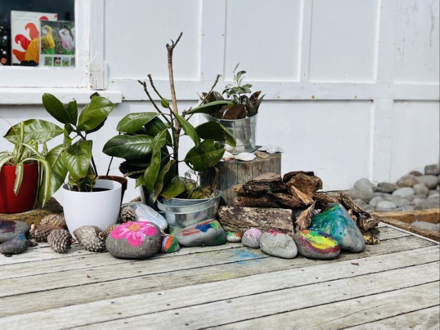 Check out our Centre Gallery