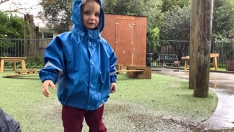 Puriri Outside Rain (Small)