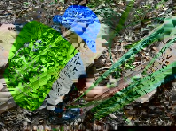 Hxqububhdfzxrqaujqck4fclrc