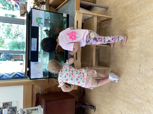 Check out our Centre Gallery