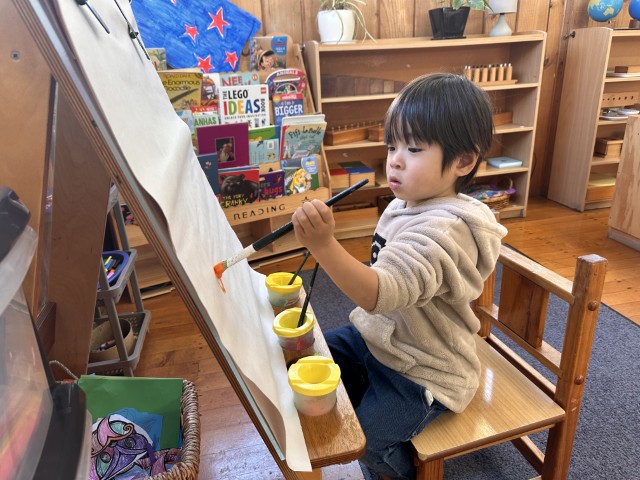 Little Earth Montessori Panmure