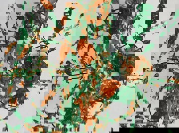 484068169 1071228411690035 5362609099571084352 N