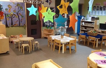 Piwakawaka Room (Small)