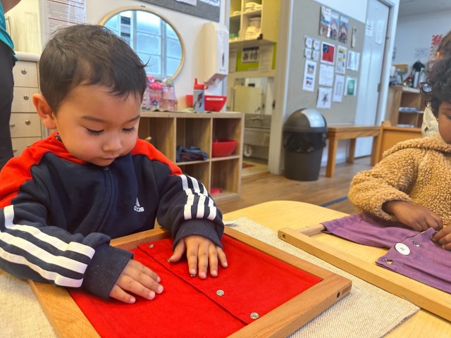 Little Earth Montessori Remuera