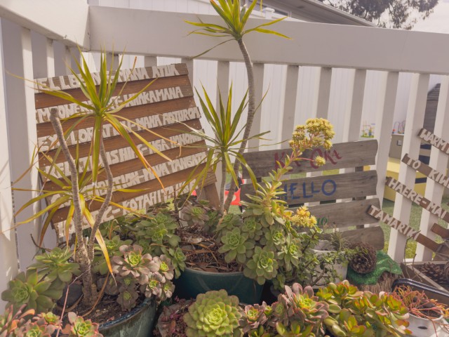Check out our Centre Gallery