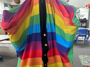 Supporting Diverse Learners through Meaningful Reinforcement in Early Childhood