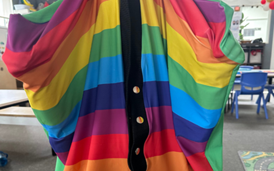 Supporting Diverse Learners through Meaningful Reinforcement in Early Childhood