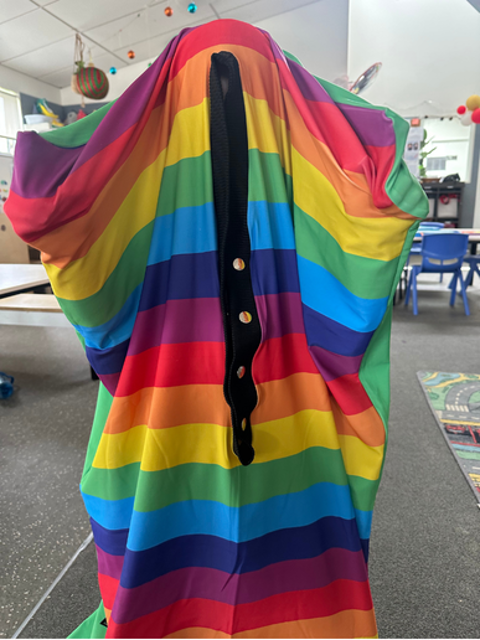 Meaningful Reinforcement in Early Childhood