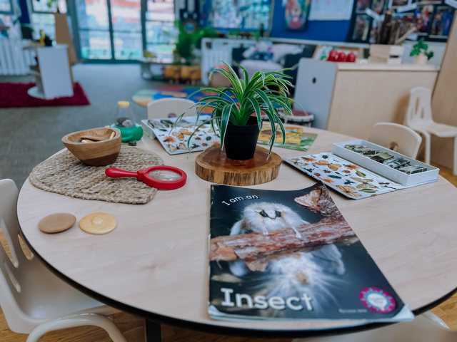 Check out our Centre Gallery