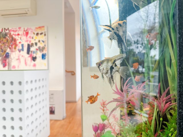 Little Earth Montessori Remuera