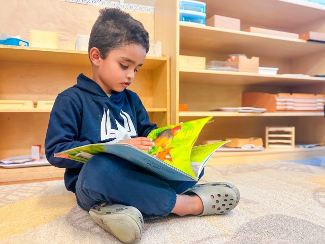 Little Earth Montessori Remuera