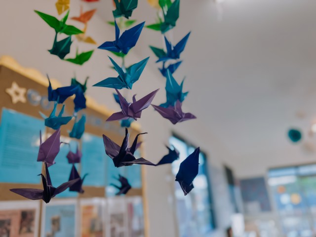 Check out our Centre Gallery