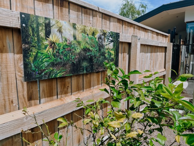 Check out our Centre Gallery