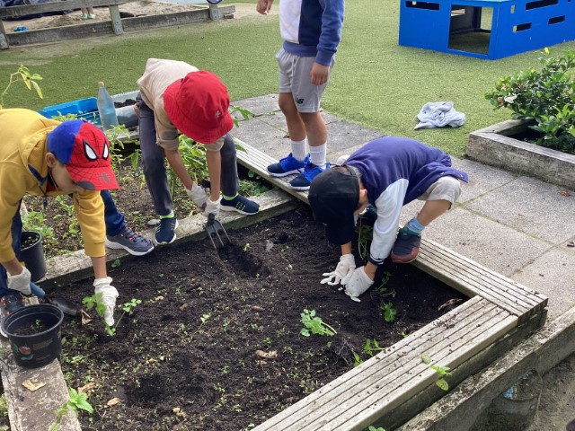 Little Earth Montessori Panmure