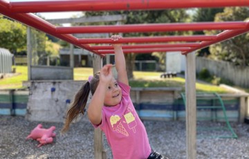Monkey Bars (Small)