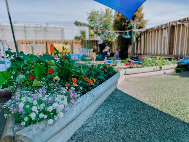 Check out our Centre Gallery
