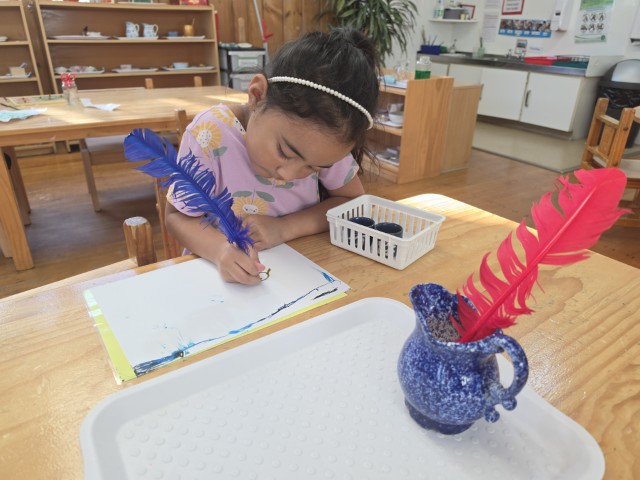 Little Earth Montessori Panmure