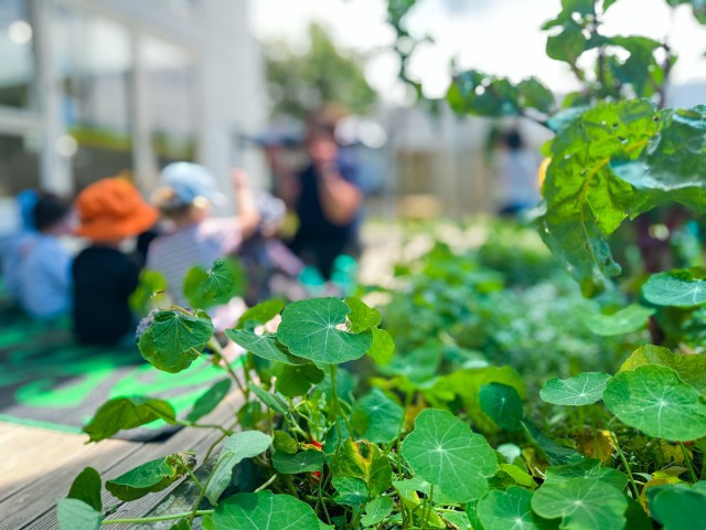 Check out our Centre Gallery