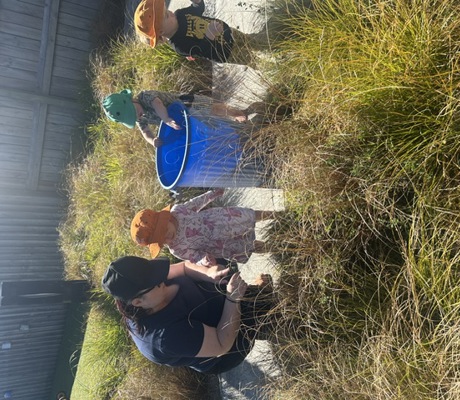 Kiwi Room Gardening