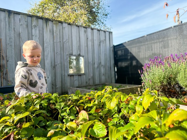 Check out our Centre Gallery
