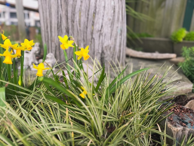 Check out our Centre Gallery