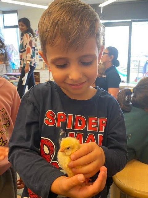 Check out our Centre Gallery