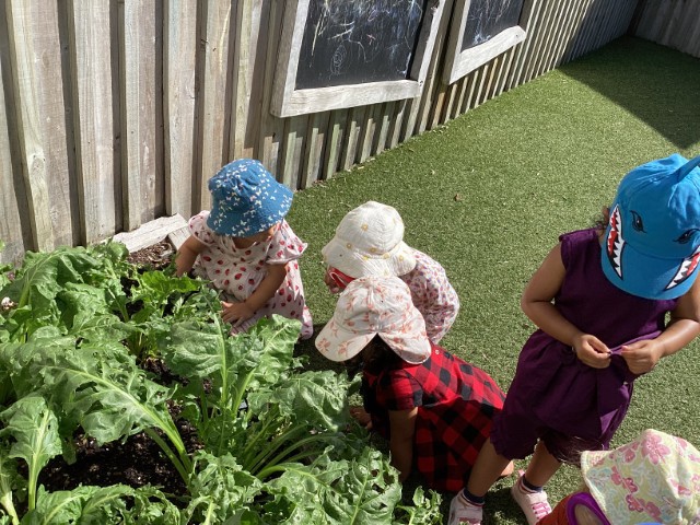 Check out our Centre Gallery