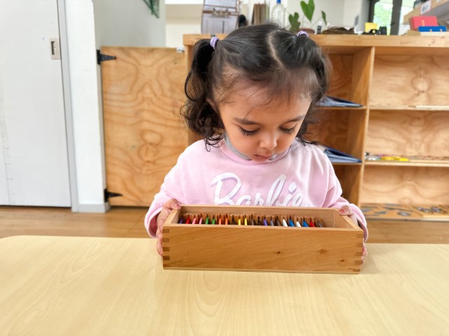 Little Earth Montessori Remuera