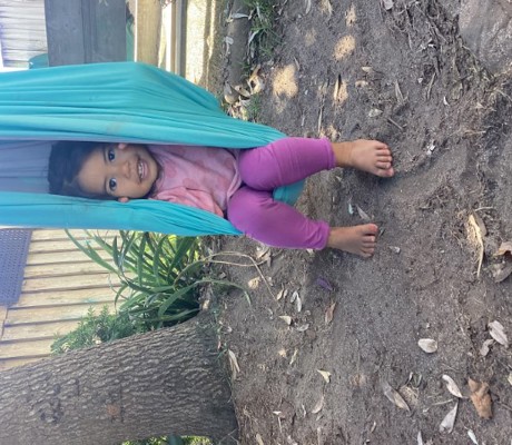 Puriri Cacoon Seat (Small)