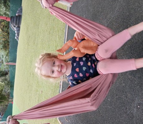Image Swing (Small)