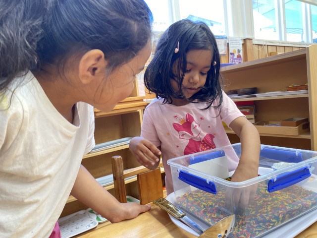 Little Earth Montessori Panmure