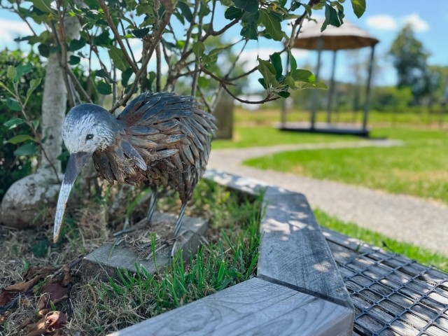 Check out our Centre Gallery