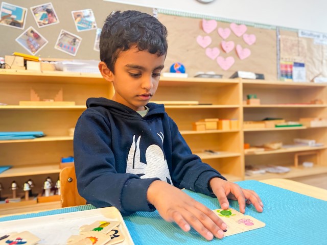 Little Earth Montessori Remuera
