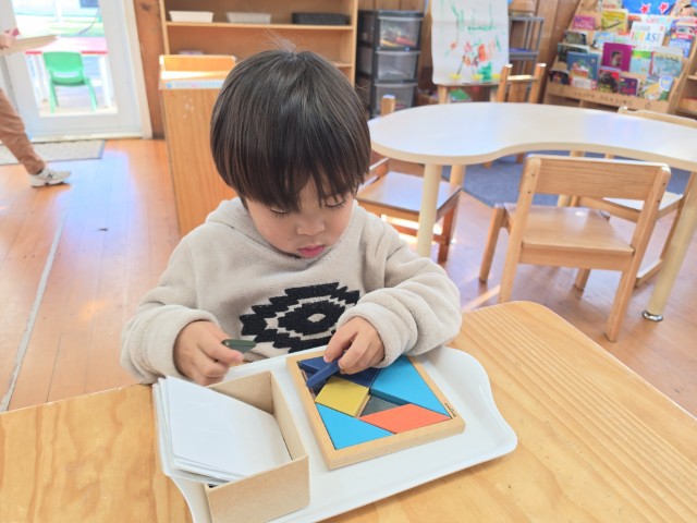 Little Earth Montessori Panmure