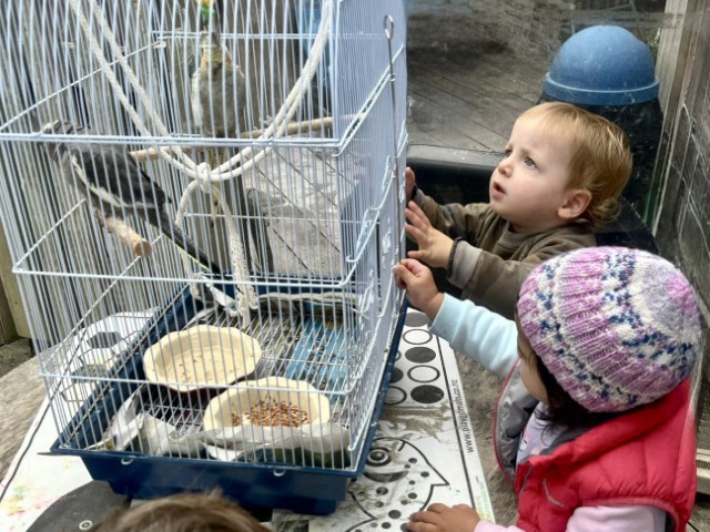 Check out our Centre Gallery