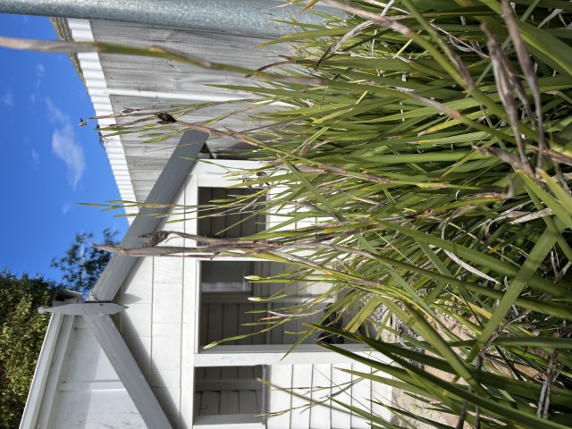 Check out our Centre Gallery