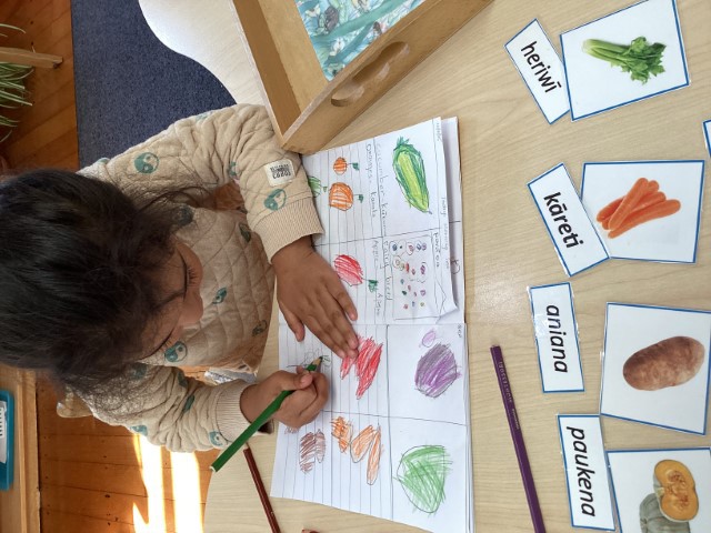 Little Earth Montessori Panmure